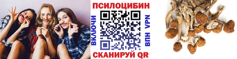Псилоцибиновые грибы GOLDEN TEACHER  где найти   Микунь 